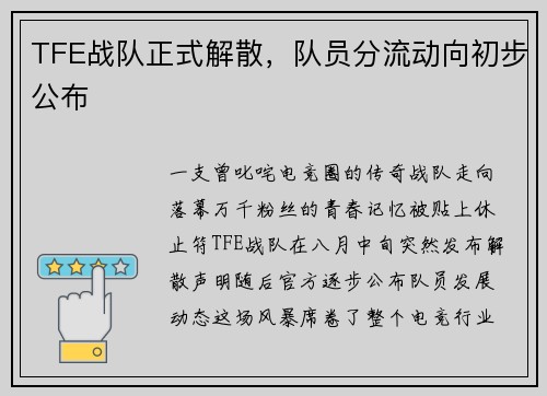 TFE战队正式解散，队员分流动向初步公布